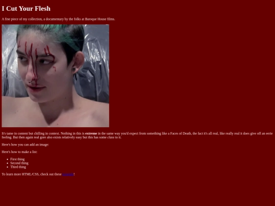 SlashedDoor screenshot