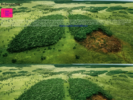 DeforestationFinalProject screenshot