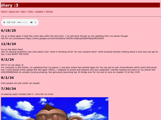 diary screenshot