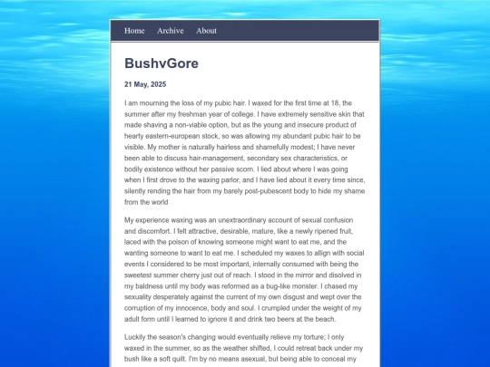blogstuff/posts/2025-05-21-BushvGore screenshot