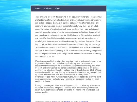 blogstuff/posts/2025-12-04-mirrormirror screenshot