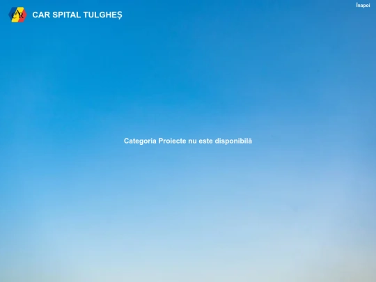 proiecte screenshot