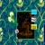 madscientistfrog.neocities.org avatar