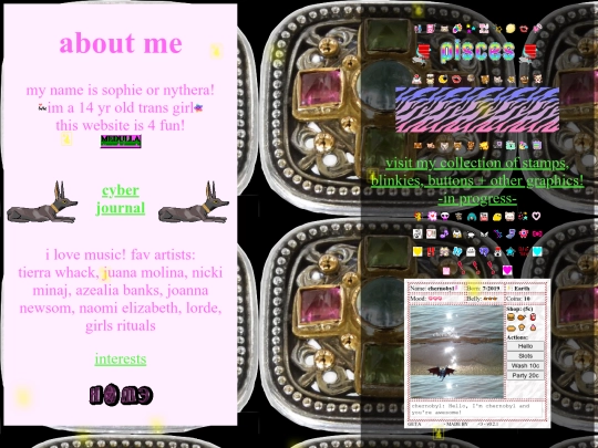 pages/about screenshot