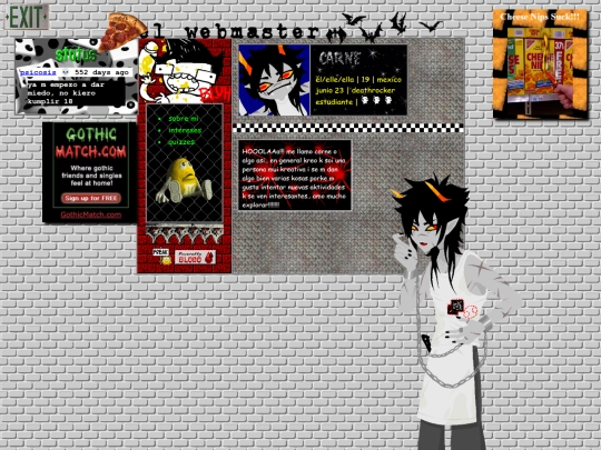 webmaster screenshot