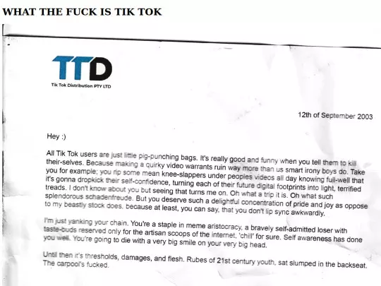 tiktok screenshot