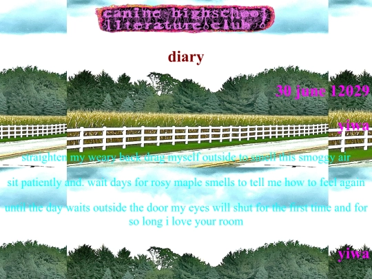 diary screenshot