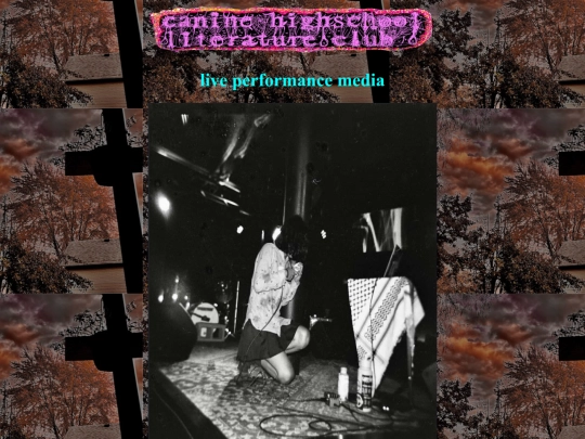 media screenshot