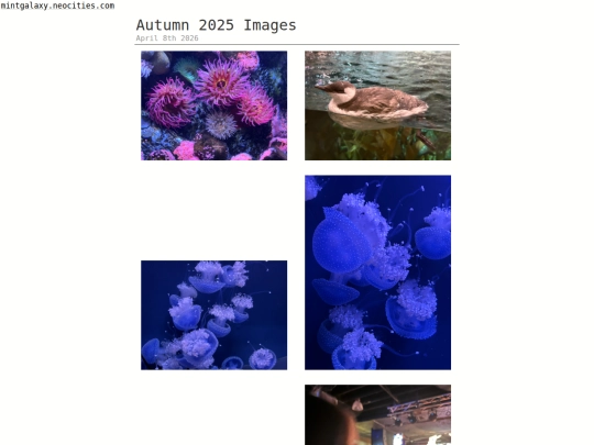 gallery/2026/2026-04-08-4 screenshot