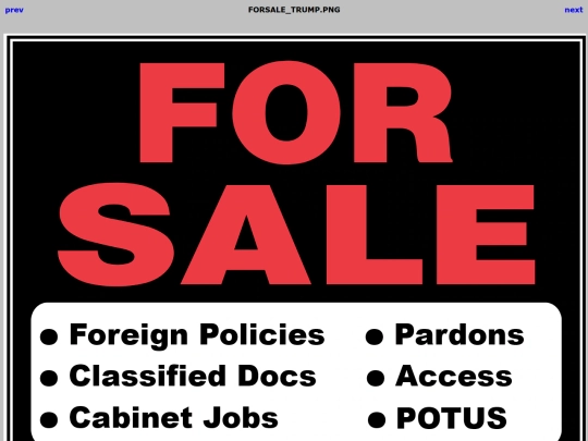 8647/FORSALE_TRUMP screenshot