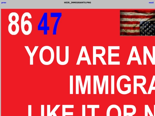 8647/HEIR_IMMIGRANTS screenshot