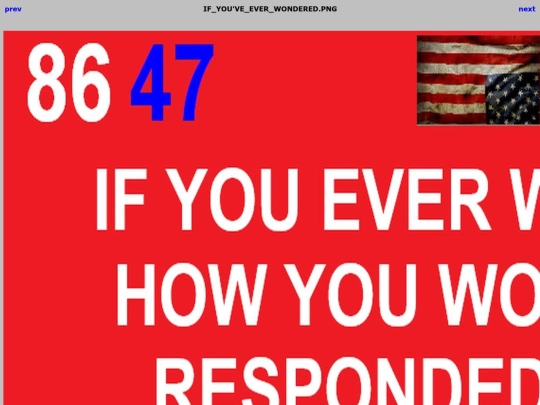 8647/IF_YOU'VE_EVER_WONDERED screenshot