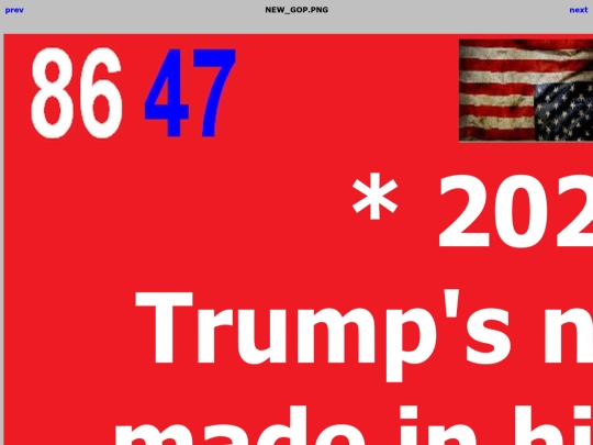 8647/NEW_GOP screenshot