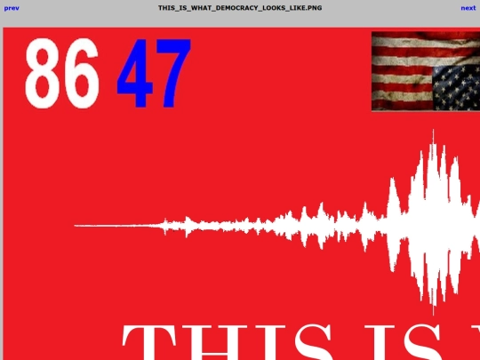8647/THIS_IS_WHAT_DEMOCRACY_LOOKS_LIKE screenshot
