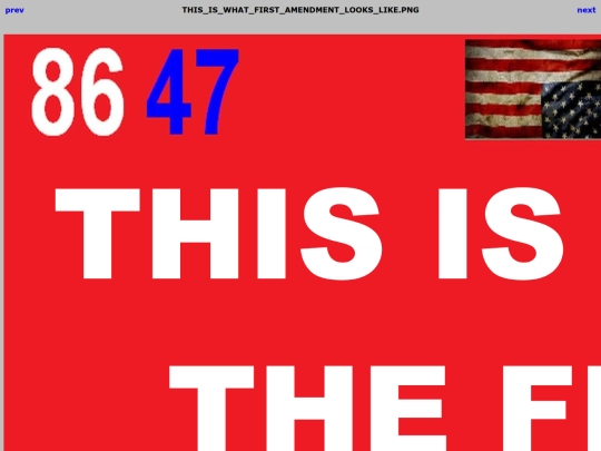 8647/THIS_IS_WHAT_FIRST_AMENDMENT_LOOKS_LIKE screenshot