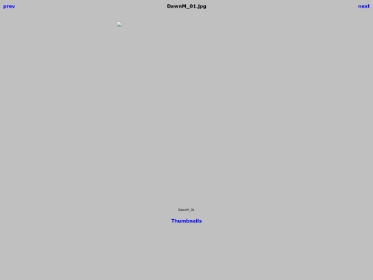 DollarPool/Winners/DawnM_01 screenshot