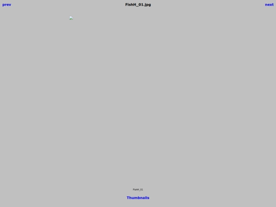 DollarPool/Winners/FishH_01 screenshot