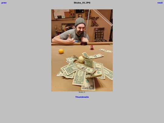 DollarPool/Winners/Skuba_01 screenshot