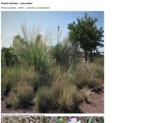 prairie screenshot