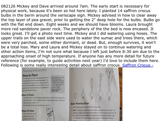 weeklynotes screenshot