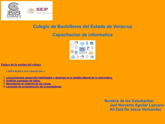 Pagina web info screenshot