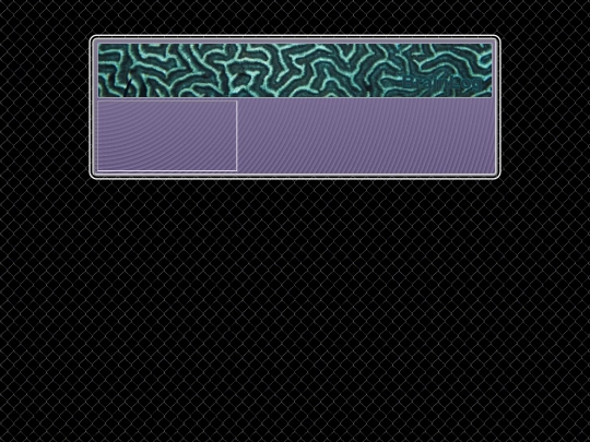 brain/Console screenshot