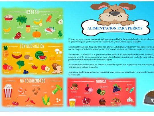 ALIMENTACION PARA PERROS screenshot