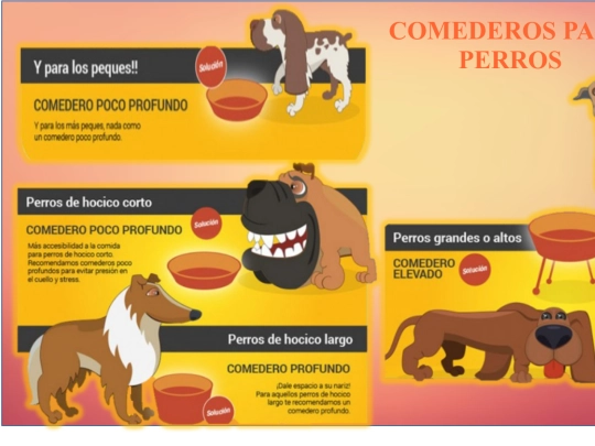 COMEDEROS PARA PERROS screenshot