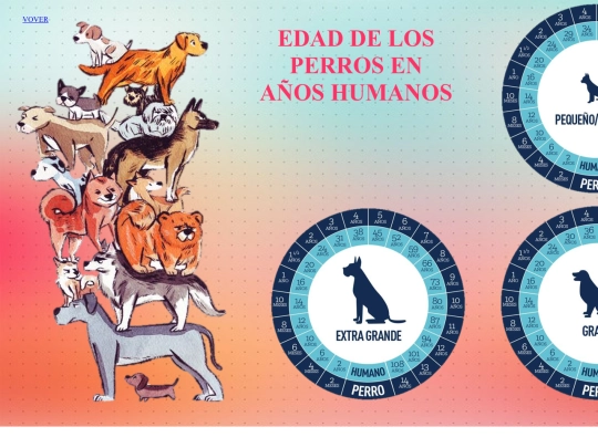 EDAD DE LOS PERROS EN AÑOS HUMANOS screenshot