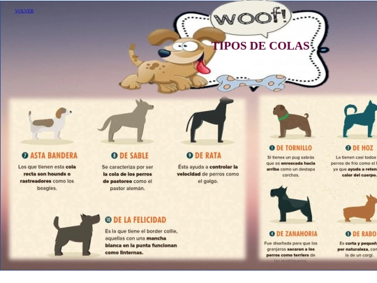 TIPOS DE COLAS screenshot