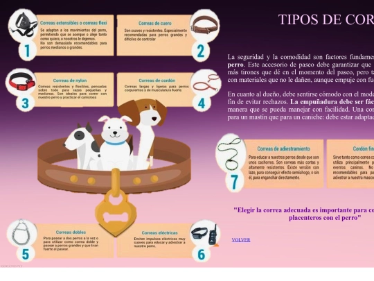 TIPOS DE CORREAS screenshot