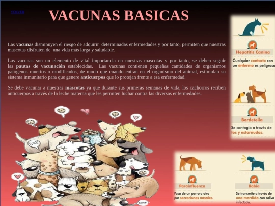 VACUNAS BASICAS screenshot