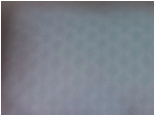 kitty screenshot