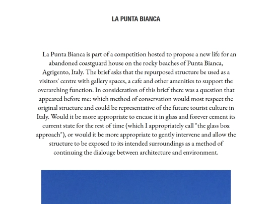 project_pages/puntabianca screenshot