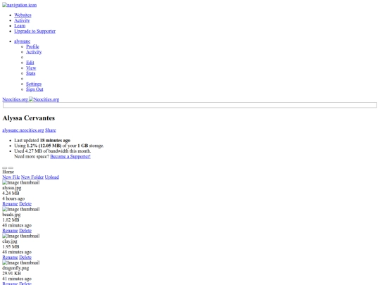 CSS screenshot