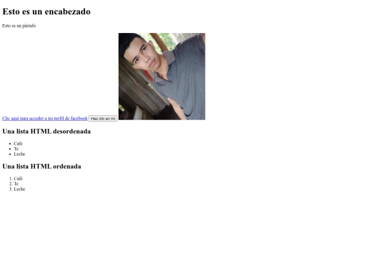 mi pagina/PrimerasPracticas screenshot