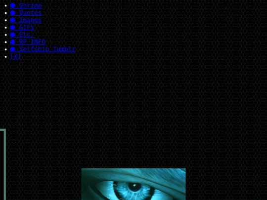 RAIDEN screenshot
