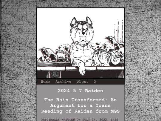 Zonelets/posts/2024-5-7-Raiden screenshot