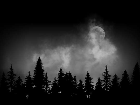 fullscreen/forest screenshot