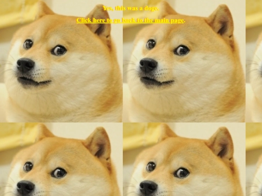 gotcha screenshot