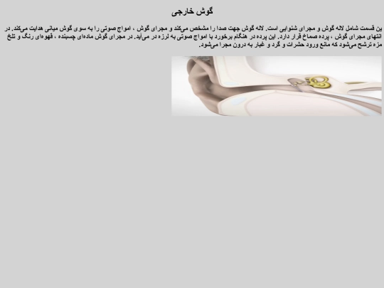 project screenshot