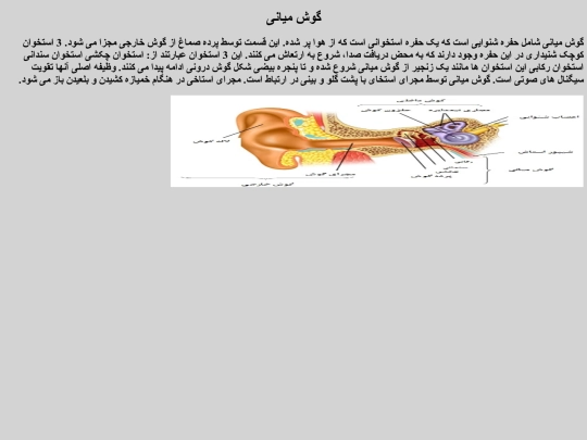 project2 screenshot