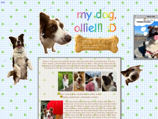 mydog screenshot