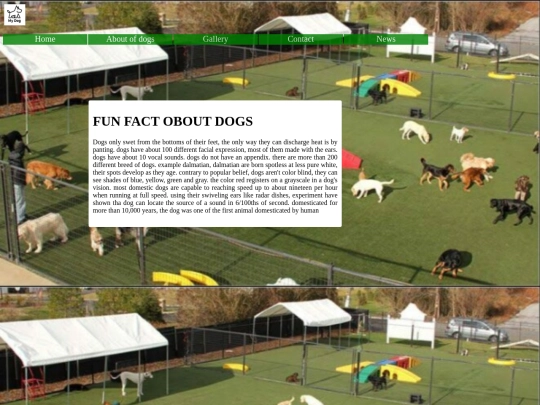 about dog screenshot
