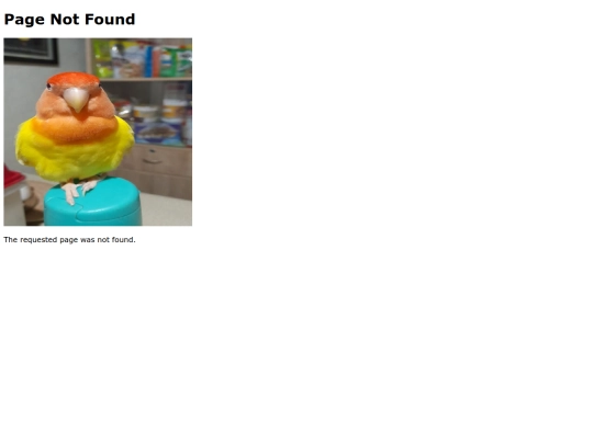 not_found screenshot