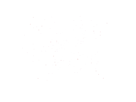 c screenshot