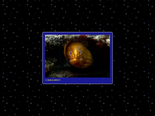 eel screenshot