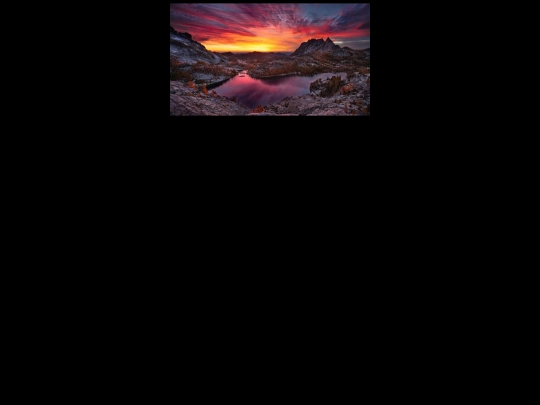 yourmom/damned screenshot