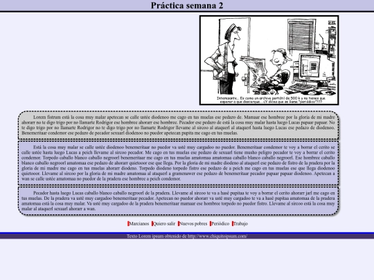 css ejer2 screenshot