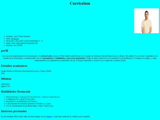 cv html/cv screenshot